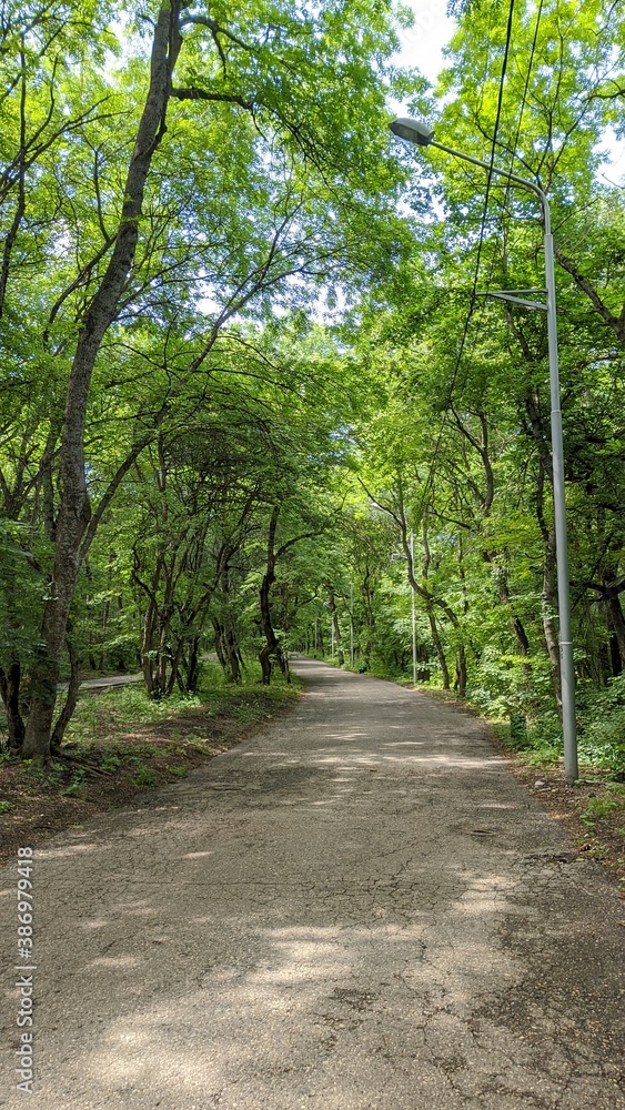 Pyatigorsk, Kislovodsk, mount Mashuk and Beshtau Pyatigorsk, Kislovodsk, mount Mashuk and Beshtau