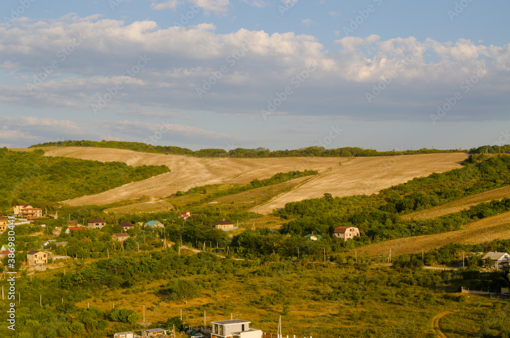 Fototapeta premium Landscape with a field of flowers, before sunset