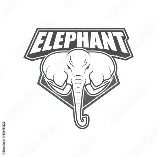 Vector logo, badge, symbol, icon template design with Elephant Theme
