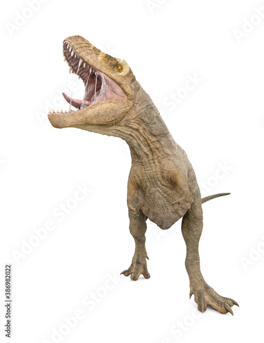 tyrannosaurus rex is calling the others © DM7