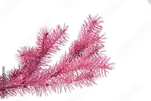 pink fir branch isolated on white background, Christmas fir close-up
