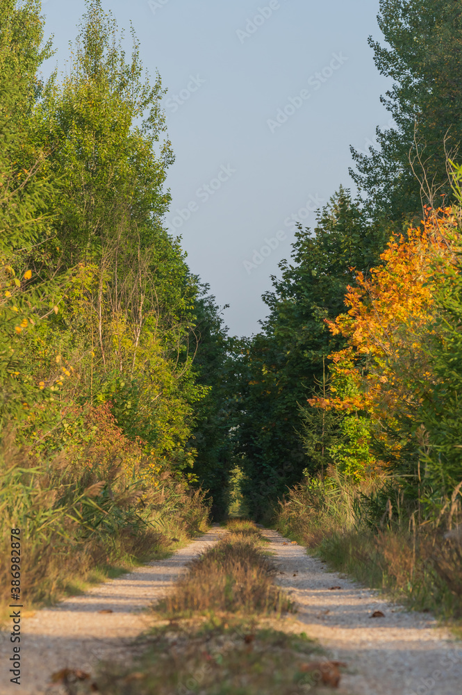 Hiking and cycling trail on former railway line Hiking and cycling trail on former railway line