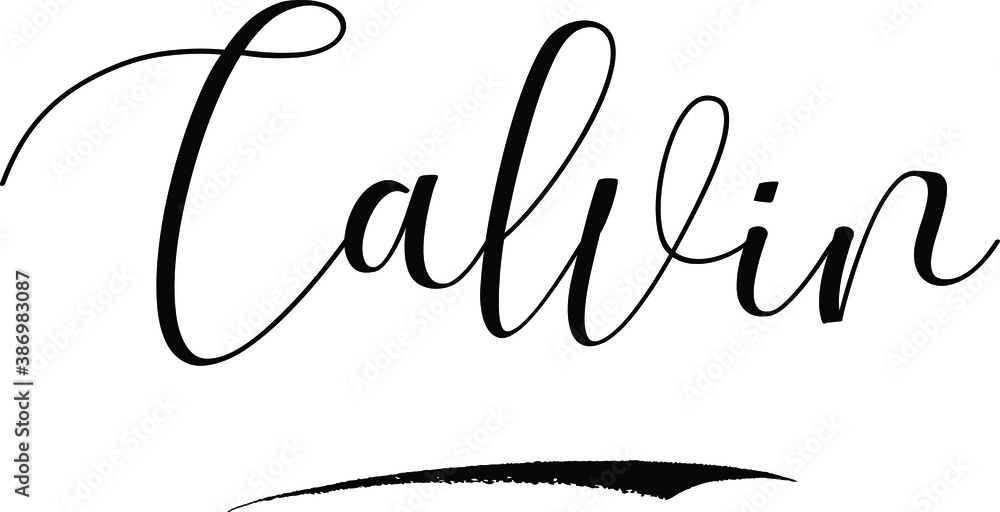 Calvin -Male Name Cursive Calligraphy on White Background Calvin -Male Name Cursive Calligraphy on White Background