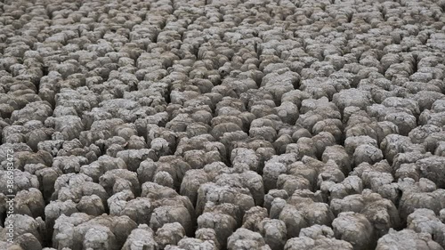 Huge area of a very dried land suffering from drought. The ground was very dry and cracked photo