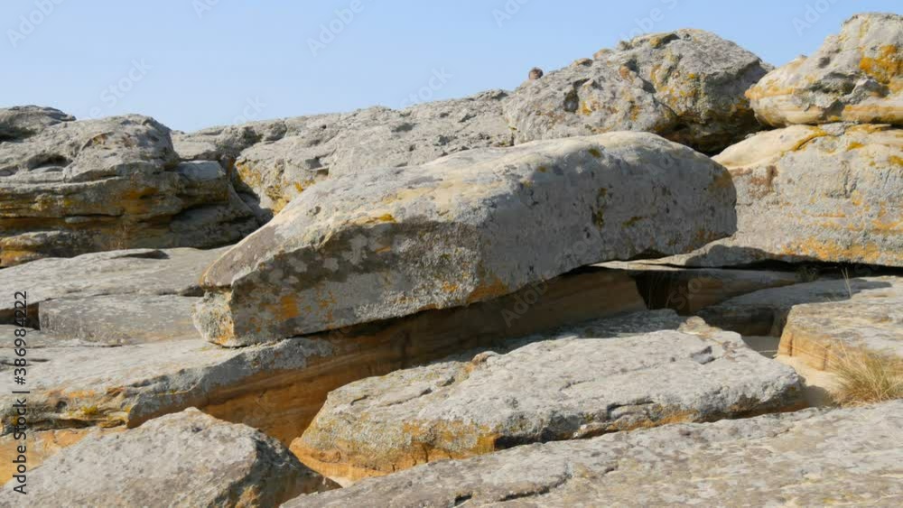 Huge boulders of the world famous monument and sacred place of ancient people Kamyana Mohyla or Stone Grave in Historical Reserve in Ukraine. Decorated it with petroglyphs. Stone Tomb. Huge boulders of the world famous monument and sacred place of ancient people Kamyana Mohyla or Stone Grave in Historical Reserve in Ukraine. Decorated it with petroglyphs. Stone Tomb.