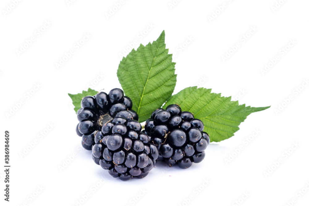 Blackberries isolated on white background Blackberries isolated on white background