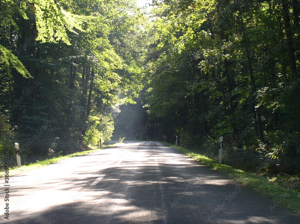 Obraz premium Sunlight passing through the trees in a road in Niedersachsen, Germany.