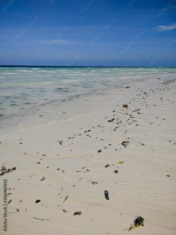 Zanzibar, Tanzania - December 10, 2019: Low tide on the ocean Zanzibar. On the shore lies seaweed. Vertical.