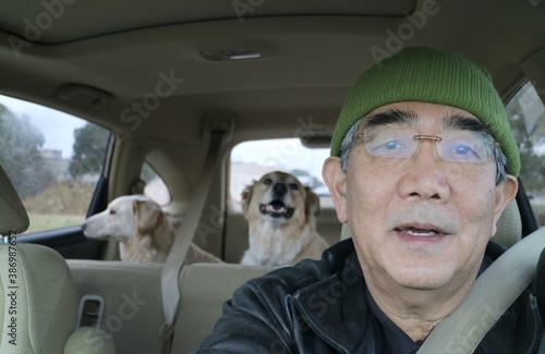 Road trip with mans best friends  two dogs going on a trip in a car.