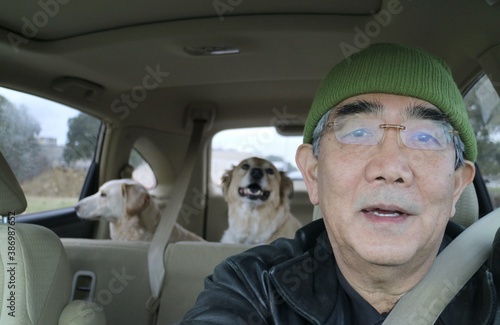 Photography Road trip with mans best friends, two dogs going on a trip in a car
