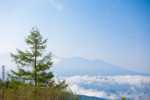 八ヶ岳と雲海