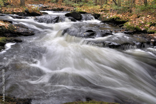 Autumn in New England. Low-vantage point closeup of water flowing in scenic Willard Brook in Willard Brook State Forest, Massachusetts.