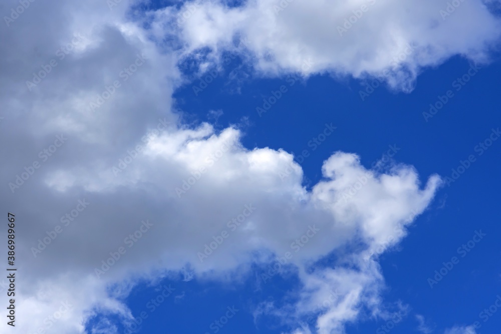 Fototapeta premium beautiful fluffy clouds on a bright blue summer sky