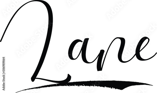 Lane -Male Name Cursive Calligraphy on White Background