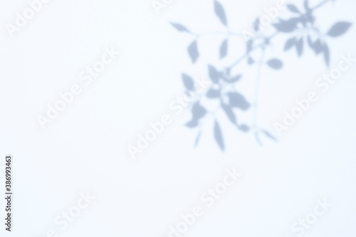 葉のシルエット