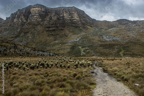 Camino al Cocuy photo