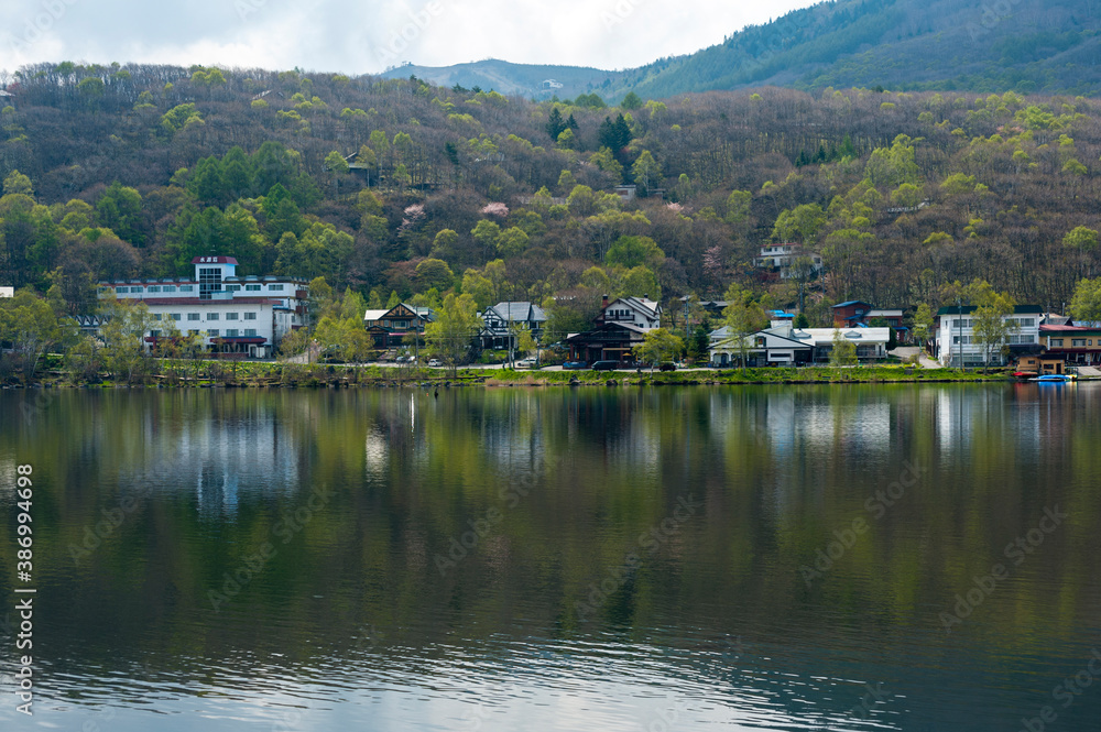 桜と新緑が早春を織りなす湖畔の斜面と水面