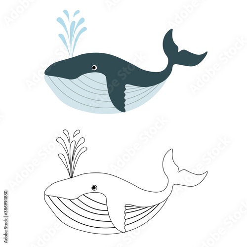 
Cute sea whale isolated on white background. Marine animals in outline and flat style. Cartoon wildlife for web pages.
Stock vector illustration for decor and design, textiles, books, magazines