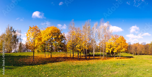 Beautiful bright autumn nature landscape with golden yellow and and orange trees on background of blue sky.