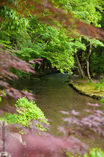 上賀茂神社境内の明神川