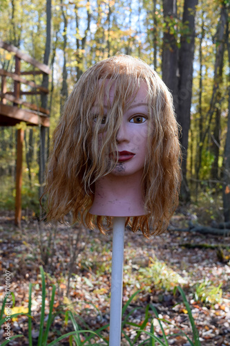 Severed Head on a Pike Grotesque Halloween Horror Execution