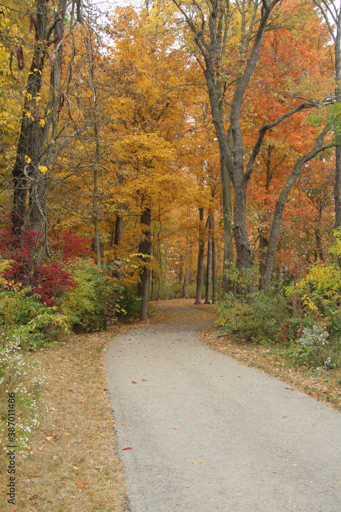 Naklejka premium Discovering Fall