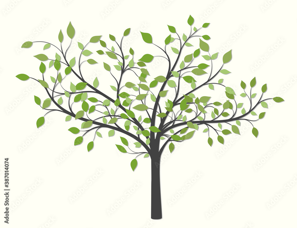 Tree with green leaves of different shades on a light background Tree with green leaves of different shades on a light background