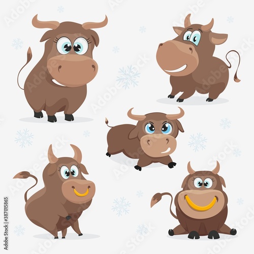 Collection of new year vector bulls to create a design. Funny Christmas bull.