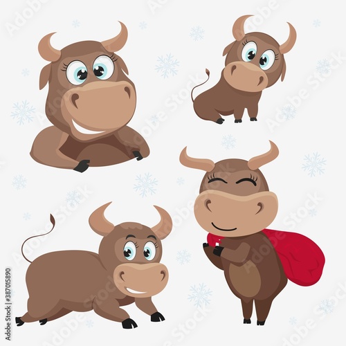 Symbol of the year 2021 with a bull. Christmas vector images of a bull to create a design.