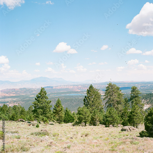 dixie national forest photo