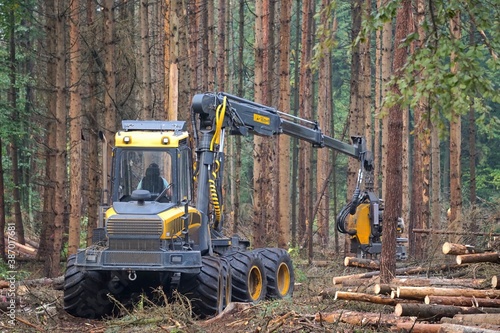 Forstwirtschaft: Harvester fällt Bäume in einem Wald