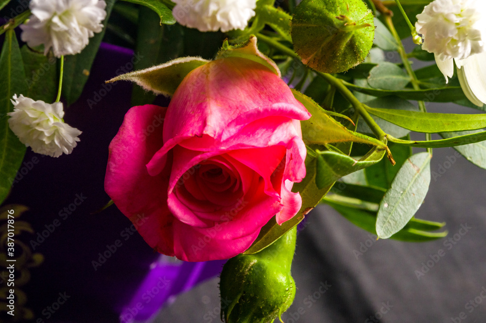 Obraz premium Background for a greeting card - beautiful gift bouquet of various colorful decorative summer flowers
