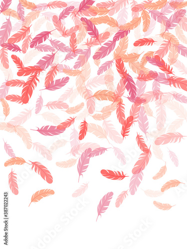 Fluffy twirled feathers on white design.