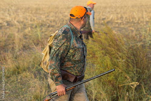 Pheasant hunters with shotgun walking through a meadow.