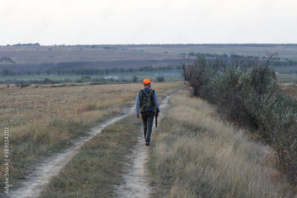 Pheasant hunter with shotgun walking through a meadow.