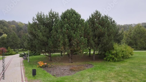 Wallpaper Mural landscape park 4K Video HDR Torontodigital.ca