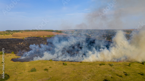 Forest fire aerial view, wildfire after dry summer season, burning nature.