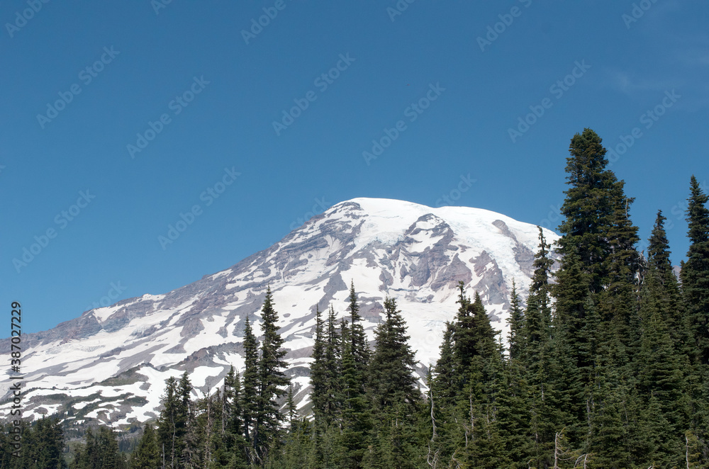 Mt Rainier Peak with Pines and Blue Sky