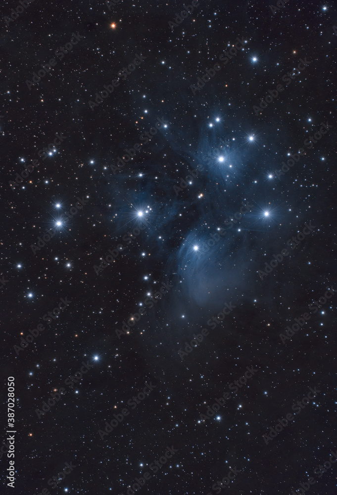Fototapeta premium Ammasso delle Pleiadi