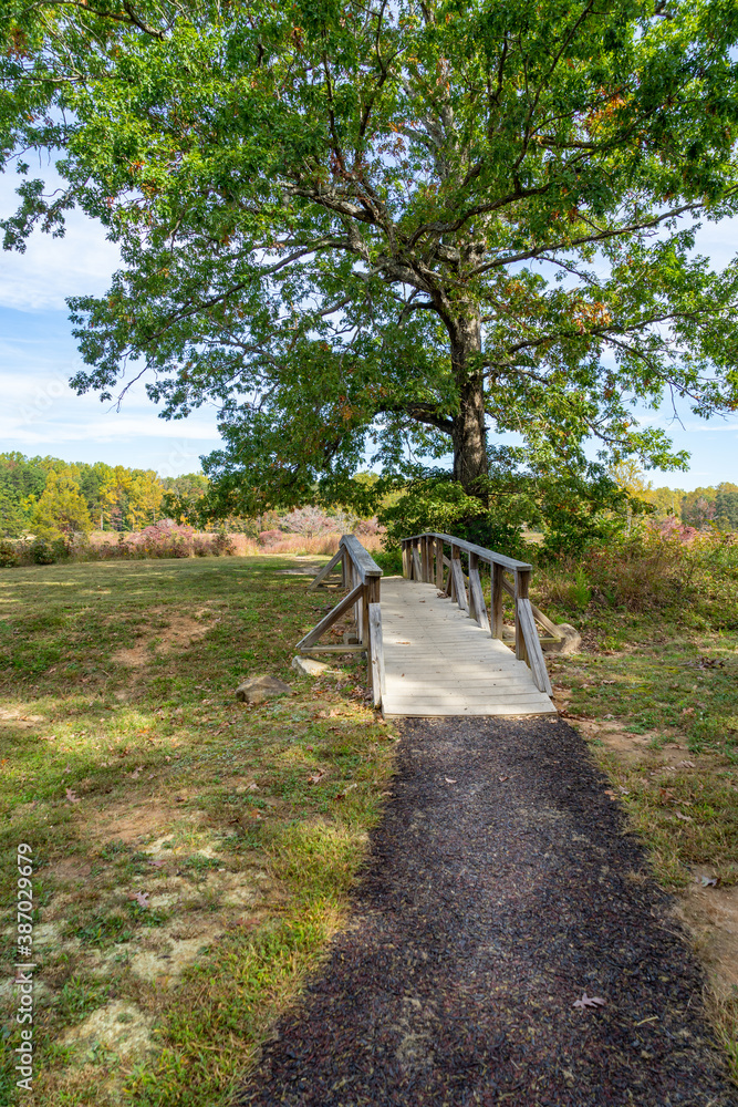 A small wooden bridge crosses over a creek