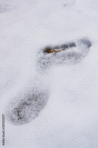 Human bare footprint in fresh snow with some ice crystals beginning to form