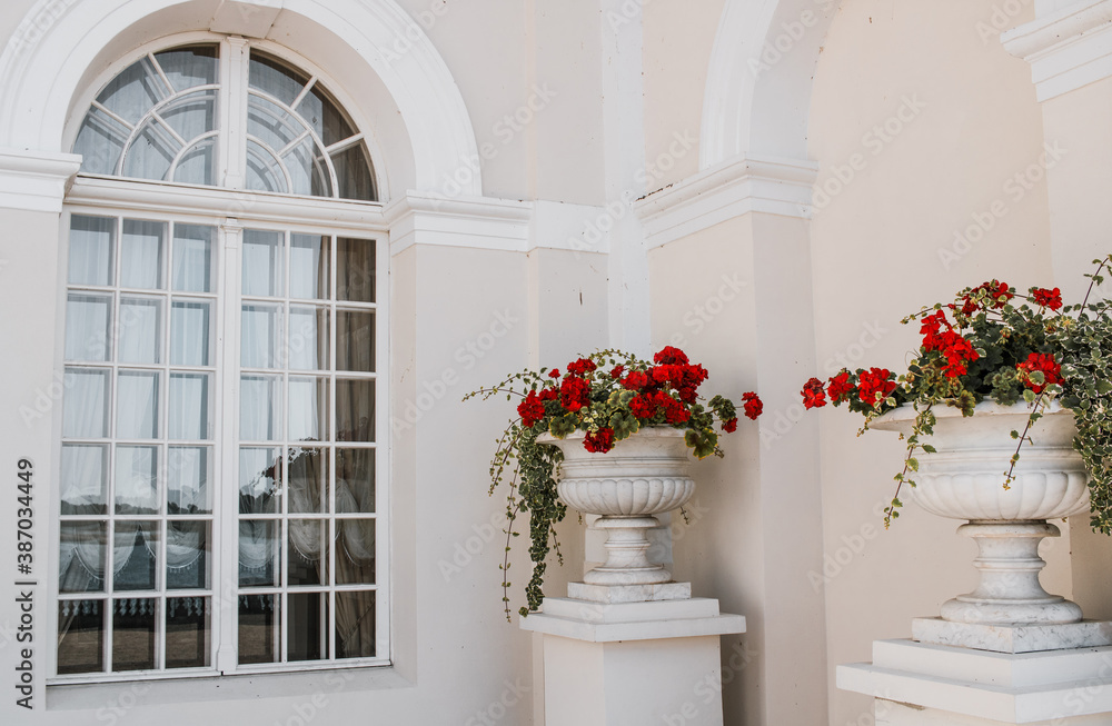 window with flowers