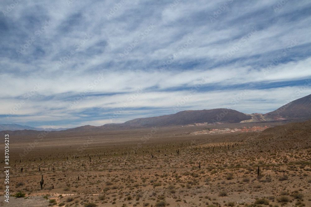 Desert landscape. View of the arid land, valley, vegetation and mountains in the horizon.
