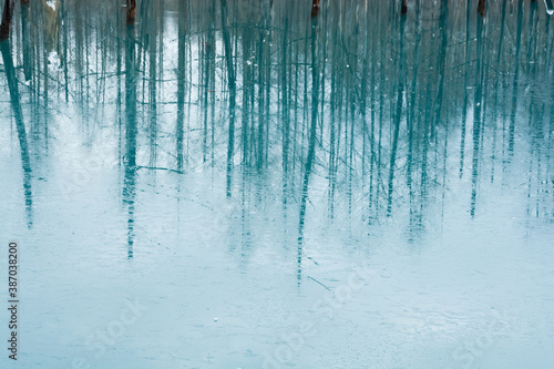 凍った青い池の湖面 美瑛町 