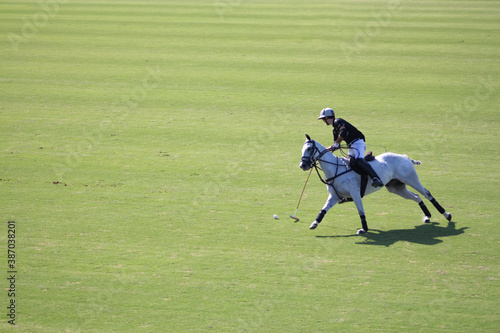 polo player in action on a green field
