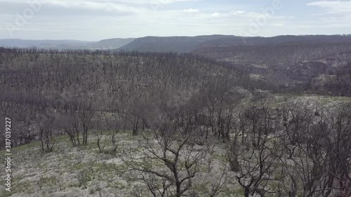 Blue Mountain Nationalpark 8 month after the Bushfires
Sydney photo