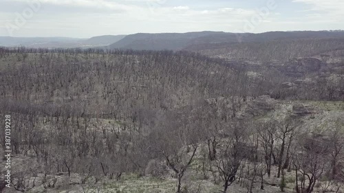 The Bushfires 2019/20 destroyed a lot of Australias Nature. 8 Month later some parts of the forests still look dry and unlivable.
Blue Mountains Nationalpark photo