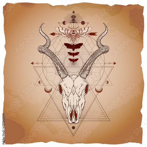 Vector illustration with hand drawn antelope skull, dead head moth and Sacred geometric symbol on vintage paper background with torn edges.