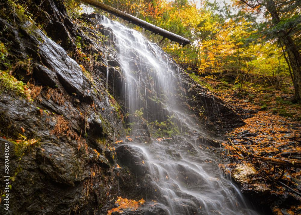 Fototapeta premium waterfall in autumn forest