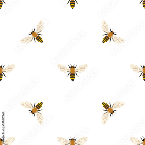 Vector seamless pattern with honey bee. 